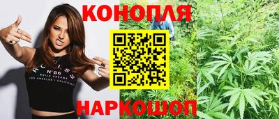 mdma Гатчина